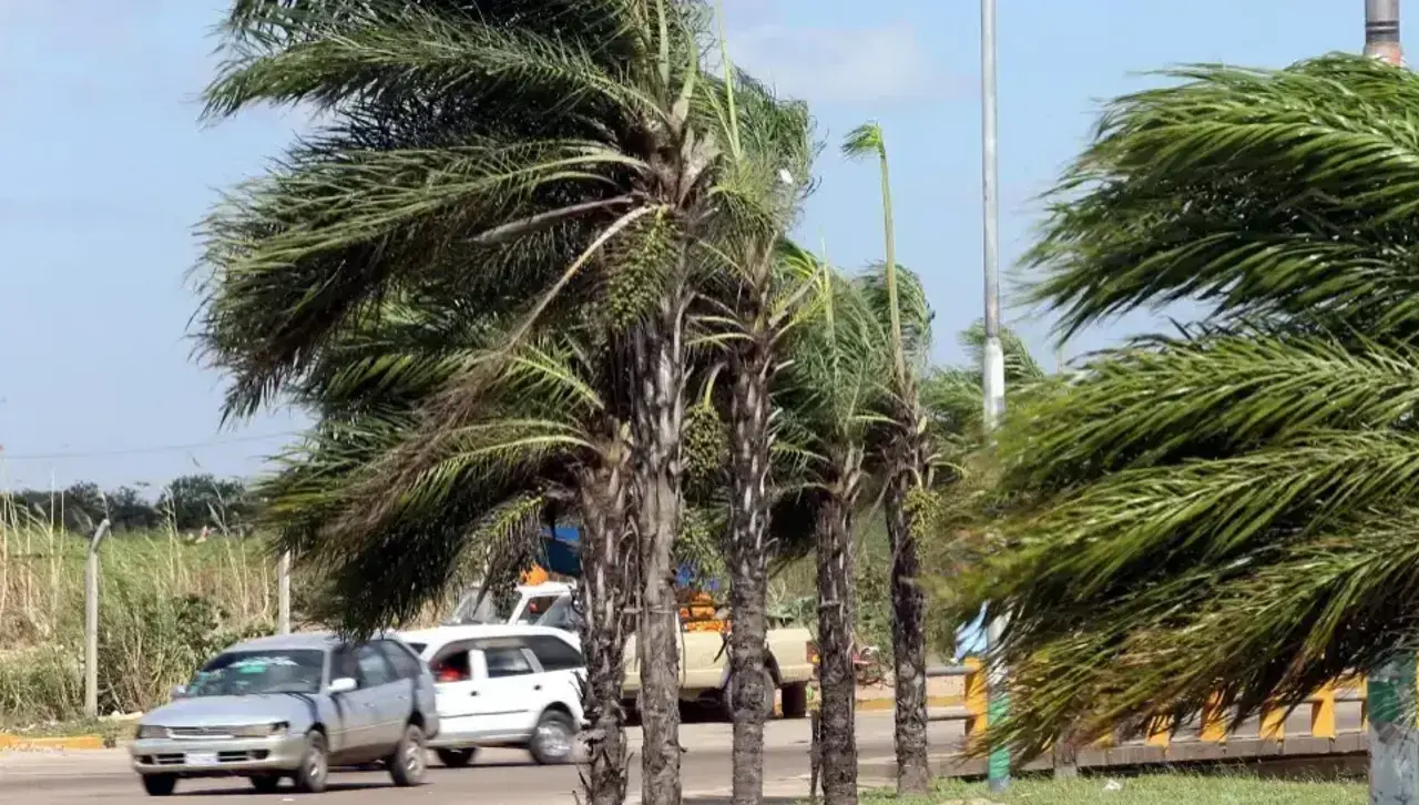 ¡Atención Santa Cruz! Senamhi advierte sobre vientos fuertes hasta el domingo 