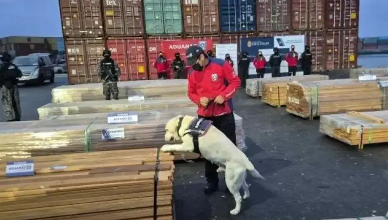 IBCE sobre madera retenida: “Chile está quemando la evidencia de nuestra inocencia”
