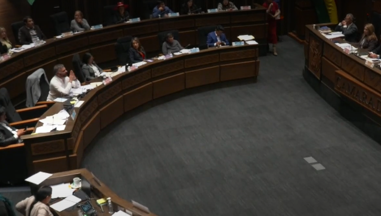 Tensión en el Senado: Frenan artículo que planteó Libre para impedir al sector público pedir préstamos al BCB el 2026