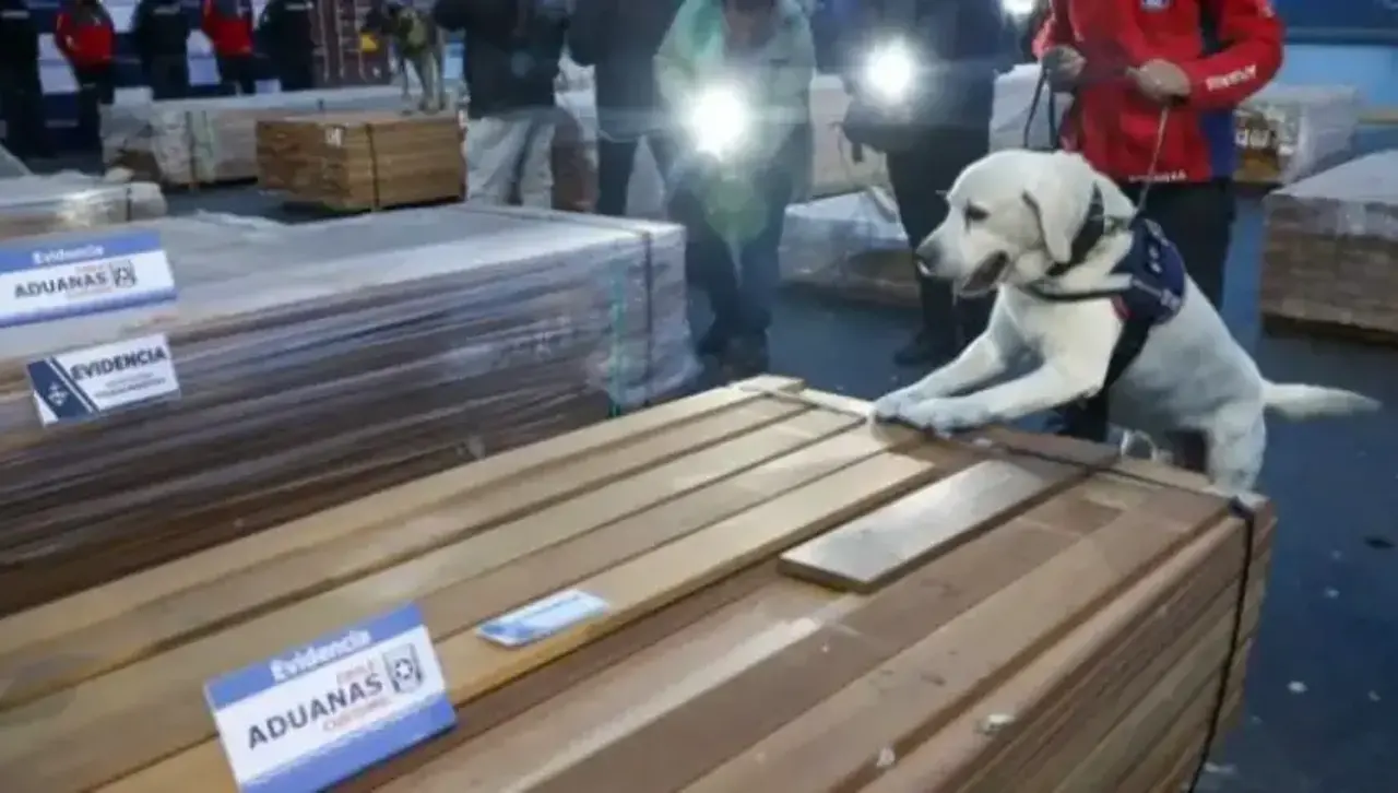 Caso maderas: Oviedo denuncia que Fiscalía de Chile se negó a entregar muestras de la madera incautada