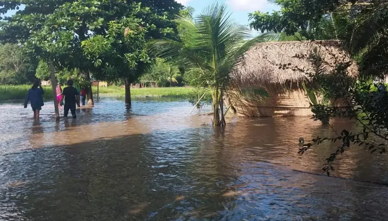¡Alerta Bolivia! Senamhi advierte con posible desborde de ríos en cinco departamentos