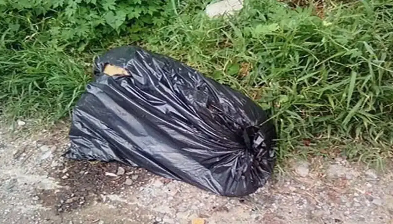La Paz: hallan cabeza de la mujer descuartizada e identifican a presunto autor