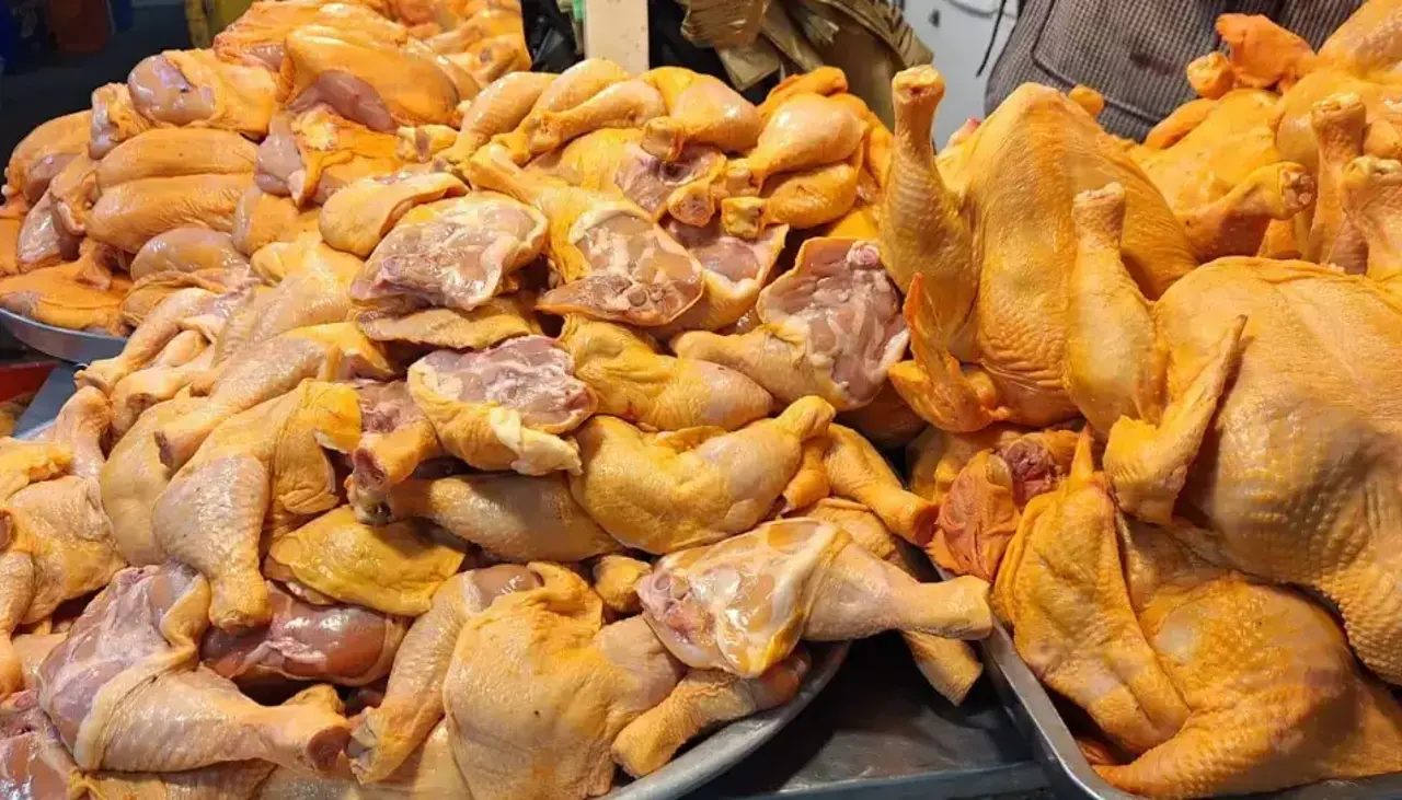 Tras nuevo precio del diésel ¿A cuánto se vende el kilo de pollo en mercados del eje central?