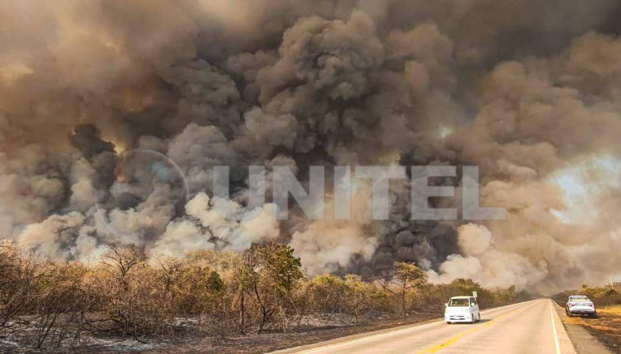 “Pedimos auxilio”: 10.000 hectáreas se han consumido por incendios en Roboré y Alcaldía reclama ayuda aérea