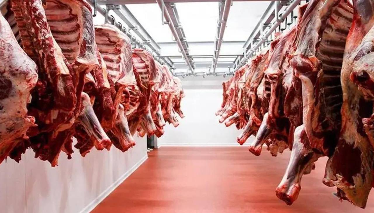 Misión llegó al país para revisar cumplimiento de recomendaciones para exportar carne a Chile