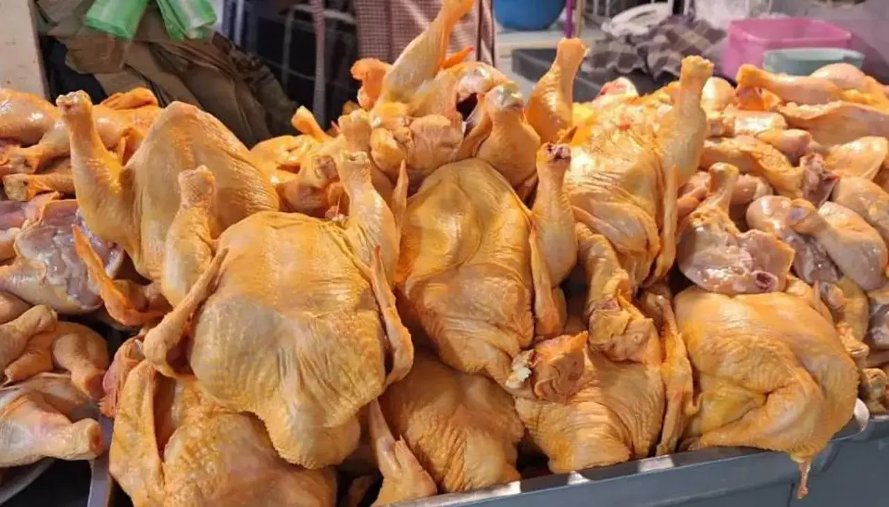 Pollo: El precio del kilo en el eje central oscila entre Bs 23,50 y Bs 25