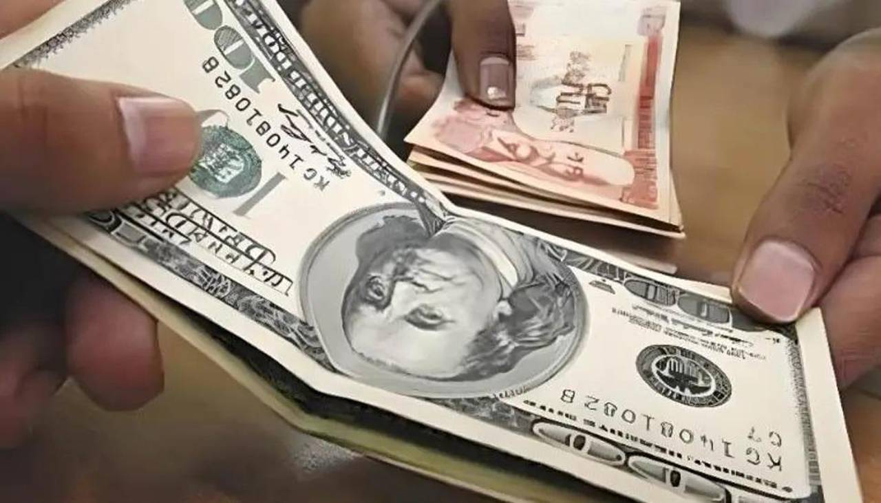 Mercado paralelo: ¿A cuánto se cotiza el dólar digital este lunes 24 de noviembre?