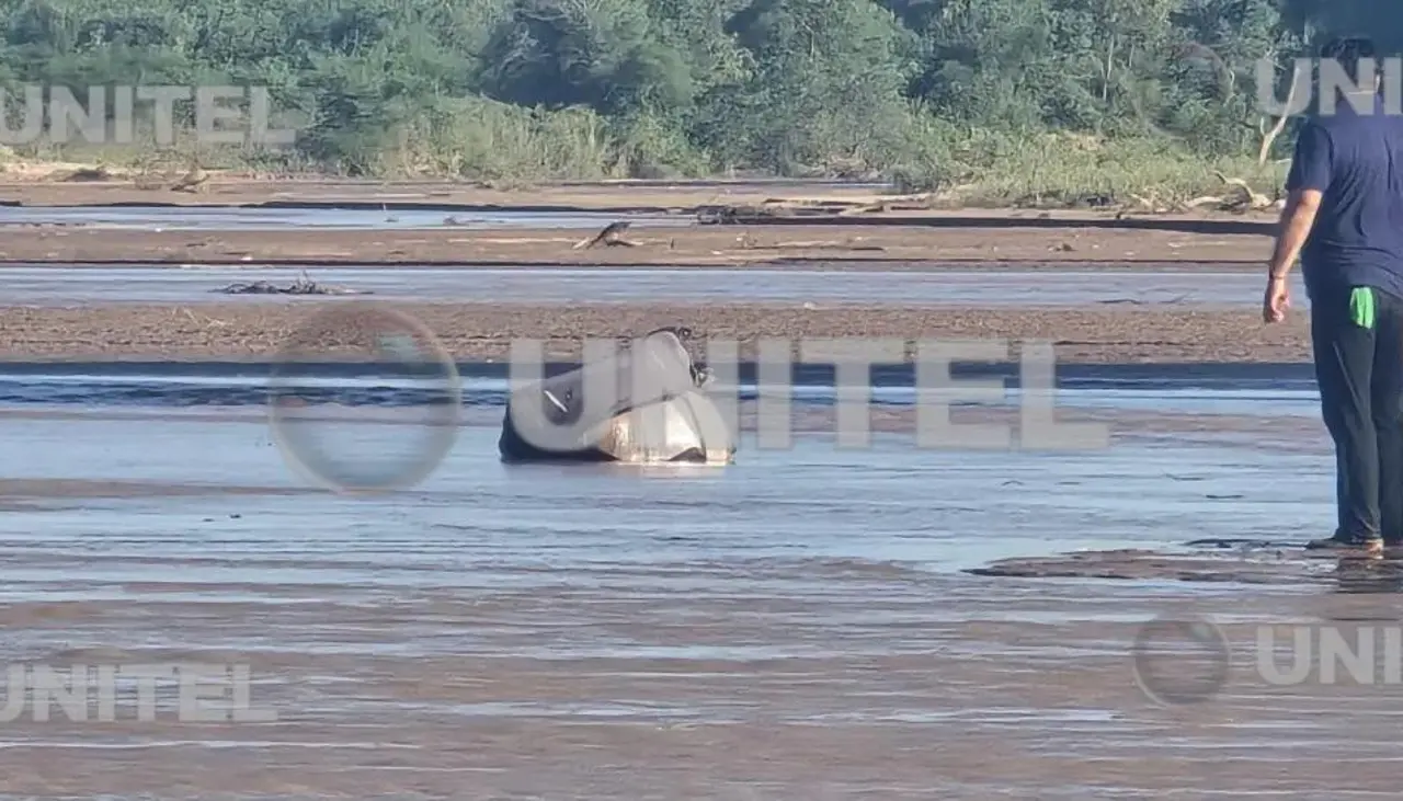 Identifican al hombre que fue hallado sin vida en una maleta en el río Piraí