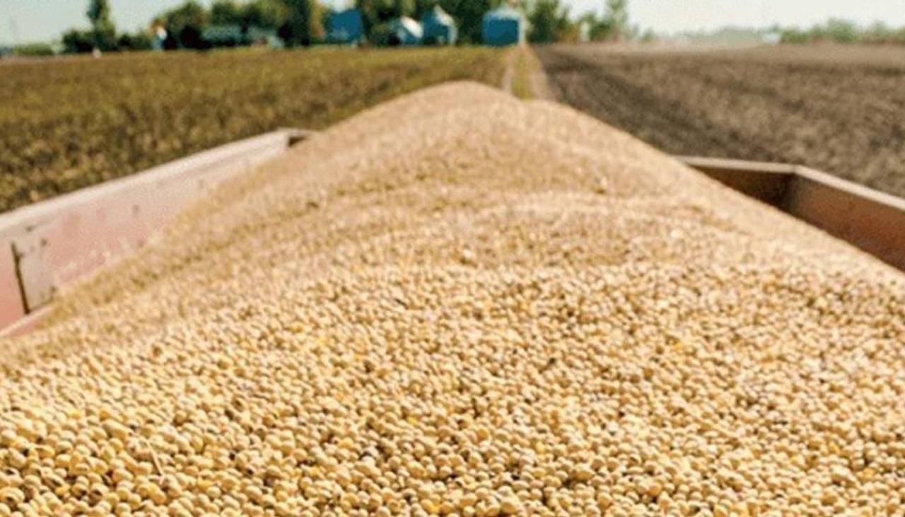 Gobierno reanuda exportación de soya hasta 250.000 toneladas