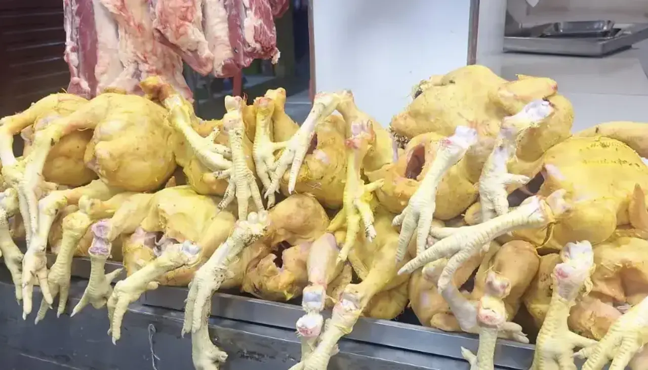 Productores reportan pérdidas ante la baja del precio del kilo de pollo en los mercados