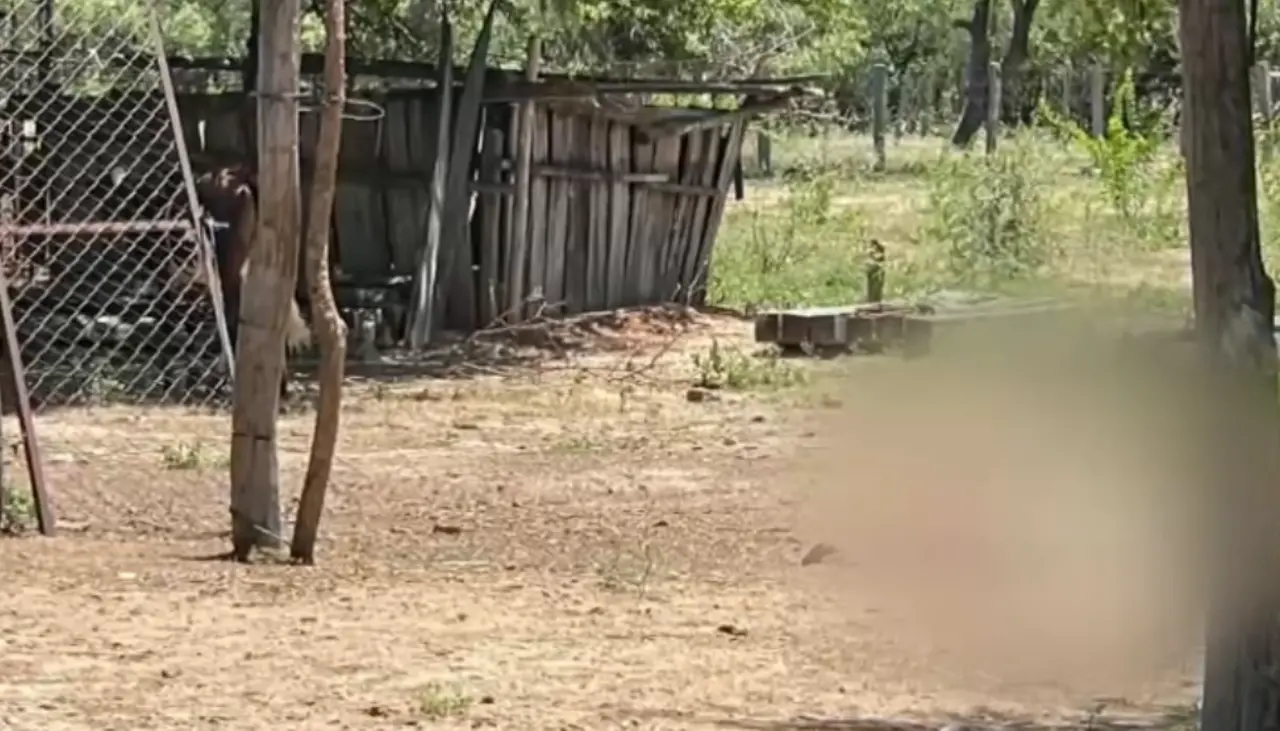 Triple asesinato en Charagua: La muerte fue al menos hace cinco días, señala la Policía