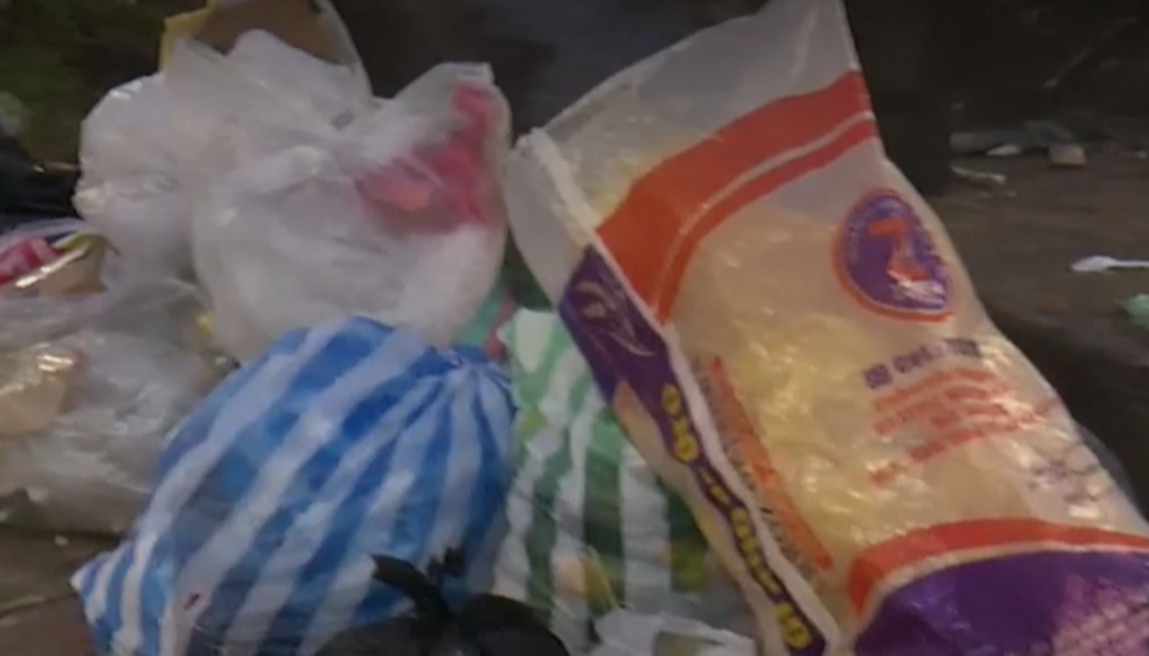 Santa Cruz: vecinos reportan maleza, basura y mal olor en canales de drenaje de la ciudad