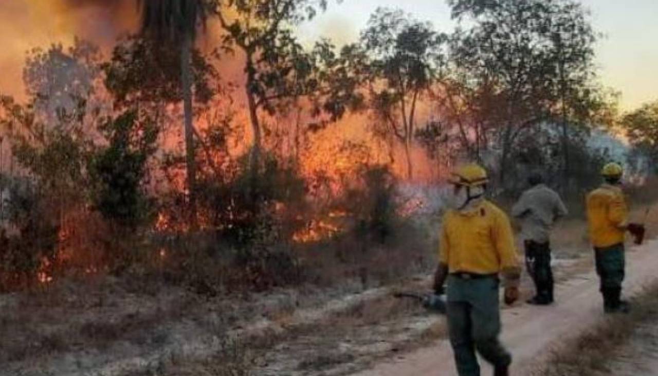 Incendios forestales: Evistas y opositores plantean juicio de responsabilidades contra Arce por biocidio y ecocidio