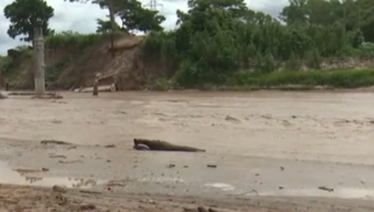 Dos grupos de rescate buscan a un pescador que fue arrastrado por el río en Colpa Bélgica