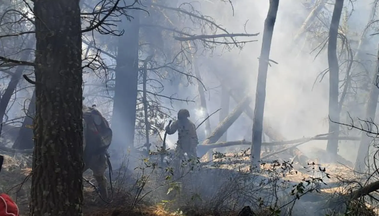Gobierno declara emergencia nacional en Bolivia por incendios forestales
