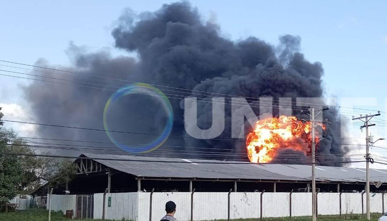 Incendio en el Parque Industrial alarma a vecinos y provoca densa humareda