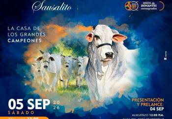 REMATE MEGA TOROS Y MATRICES FIV SAUSALITO