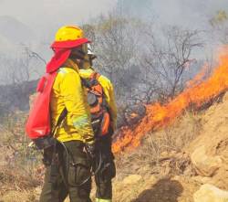 ¿Qué tan preparada está Bolivia para enfrentar los incendios forestales?