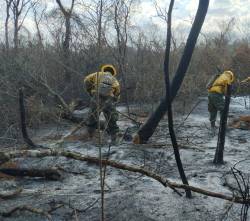 Santa Cruz: Experto dice que ráfagas y las altas temperaturas generan “condiciones” para que los incendios se acentúen