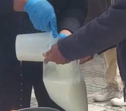 Cochabamba: Lecheros siguen sumando pérdidas y venden el litro a precio del productor ante el bloqueo evista