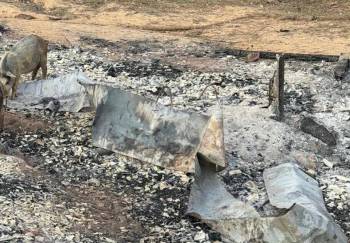Hallan un cuerpo y dos columnas vertebrales tras incendio en una choza cerca de la frontera con Brasil