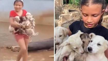 Niña salvó a cuatro perritos de morir ahogados durante inundaciones en Venezuela