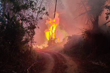 Incendios forestales: Arce anuncia la llegada de expertos y bomberos de Brasil, Chile y Francia