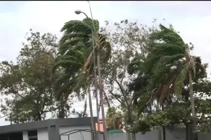 Se activan alertas por fuertes vientos y descenso de temperaturas en cuatro departamentos del país