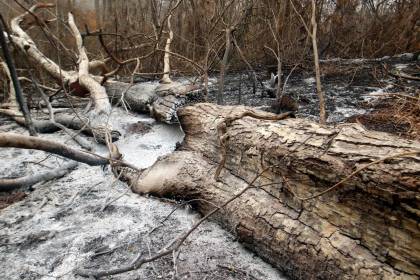 El 78% de los incendios se produce en tierras fiscales, dice la CAO que pide sanciones a directores de áreas protegidas