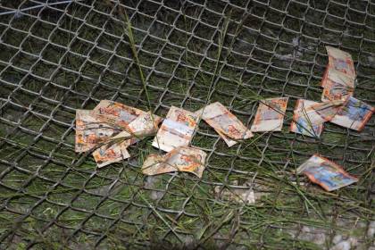 BCB inhabilita billetes de Bs 10, Bs 20 y Bs 50 de la Serie B y alista un canje para el dinero obtenido legalmente