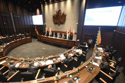 Cámara de Senadores aprueba en grande el crédito de $us 1.900 millones del FMI