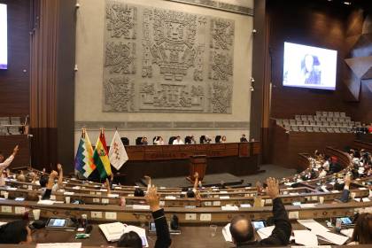 Cámara de Diputados inicia votación nominal sobre el crédito de $us 100 millones del Japón 