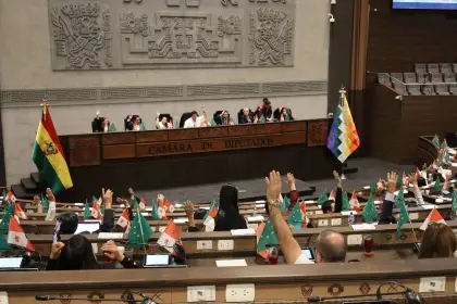 Diputados votan para modificar el orden del día y priorizar la ley de elecciones subnacionales
