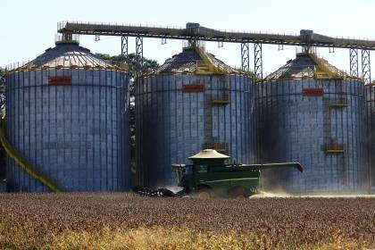Bloqueos obligan a parar operaciones en industrias oleaginosas; no se puede acopiar ni entregar la producción