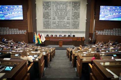 Vicepresidencia convoca a sesión de la ALP este miércoles para tratar la convocatoria para la elección de vocales del TSE