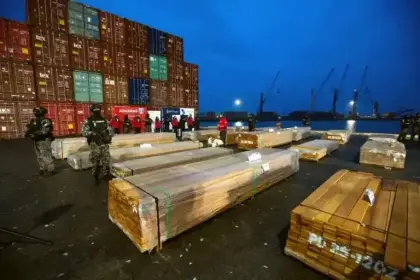 Caso madera: Cancillería informa que la Fiscalía de Chile suspendió temporalmente la destrucción del cargamento incautado en Arica