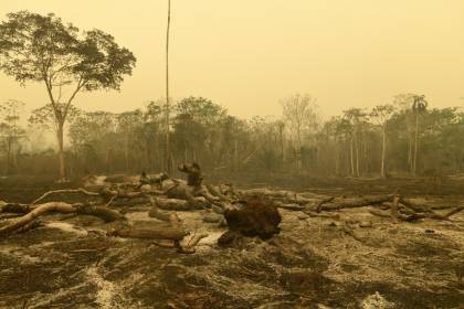 Tras críticas: Comando Conjunto dice que enviaba informes sobre incendios, pero era el Gobierno el que “tenía la ultima palabra”