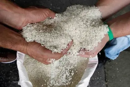 Arroceros denuncian que están afectados por el contrabando y piden al Gobierno revisar las condiciones de importación