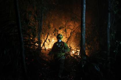 Quemas en Bolivia: 59 puntos de fuego formaron “siete complejos de incendios”, señala el Ministerio de Medio Ambiente 