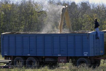 Productores advierten que caída de la exportación de soya tiene que ver con la baja producción y los precios internacionales