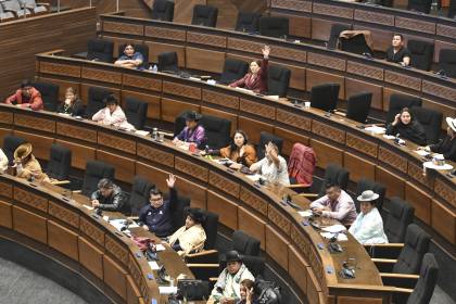 Ley de diferimiento de créditos: Se tiene que sancionar un reglamento para modificarla, señala Cámara de Comercio