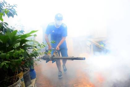 Chikungunya: Santa Cruz registra 35 muertes y más de 11.000 contagios en lo que va del año