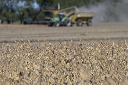 “La situación se ha puesto peor”: Falta de diésel genera una cadena de perjuicios al sector soyero