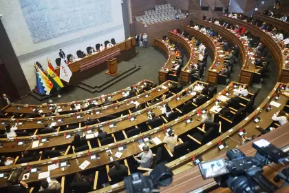 ALP: Sesión de interpelación al ministro Medinaceli se reanudará el martes