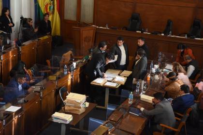 Elecciones judiciales otra vez paralizadas por medida cautelar, denuncia senadora Barrientos