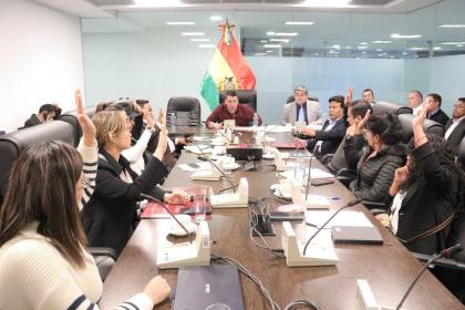 Comisión de Diputados aprueba proyecto de ley de alivio tributario y lo remite al pleno