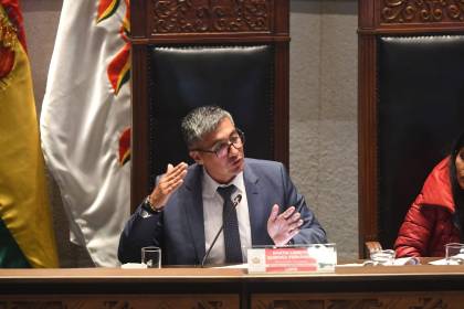 Crédito de $us 500 millones del BID irá al pago de la Renta Dignidad y al registro social de hogares, dice ministro Espinoza
