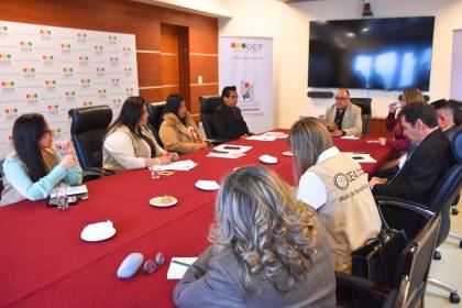 TSE se reúne con misión de la OEA para coordinar seguimiento de las elecciones subnacionales