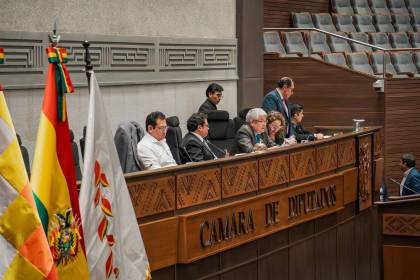 Cámara de Diputados tratará este jueves la elección de vocales electorales de La Paz y Chuquisaca