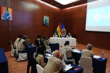 Subnacionales: TSE señala que 17 misiones de observación electoral se desplegarán en el país